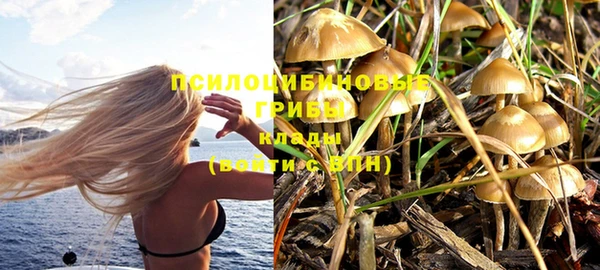 mix Богданович